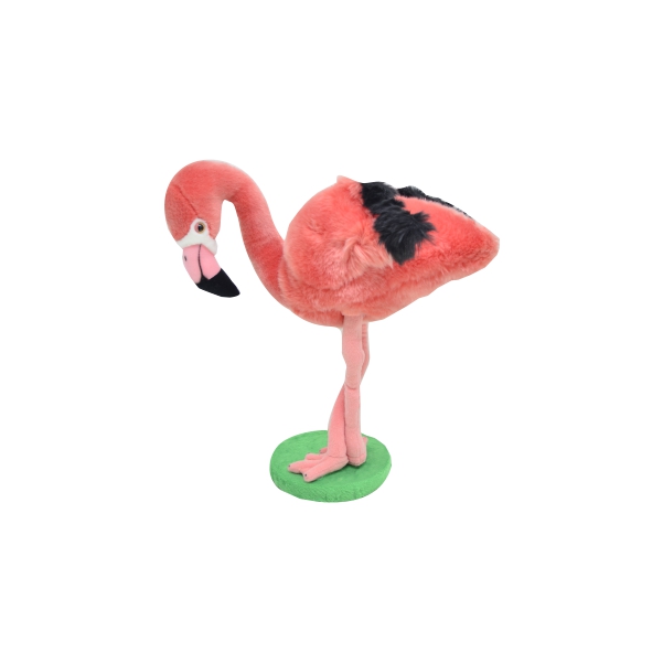 Safari - Flamingo
